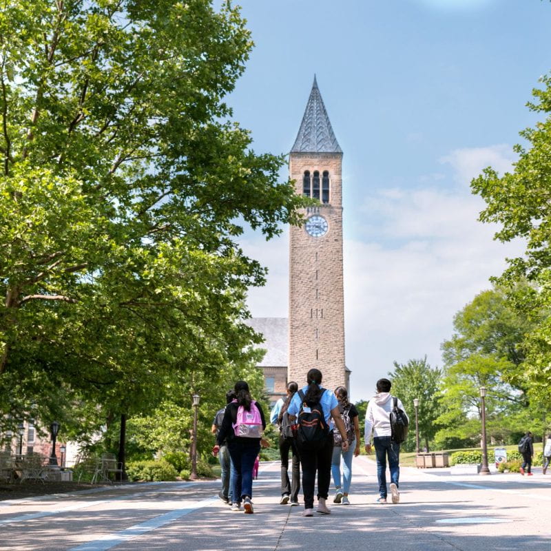 Cornell summer students walk through a sunny Ho Plaza towards McGraw Tower.